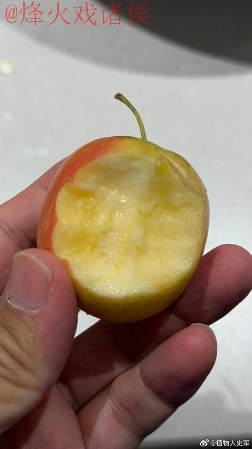 世界杯外围苹果